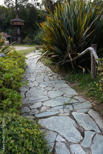 sendero con piedras