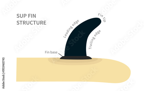 Paddle boarding. Detailed view of sup board fin, functional edges described.