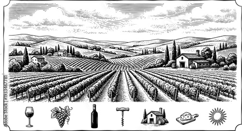 Hand draw vineyard tuscany landscape farm field in monochrome sketch style. Vintage panoramic vector illustration.
