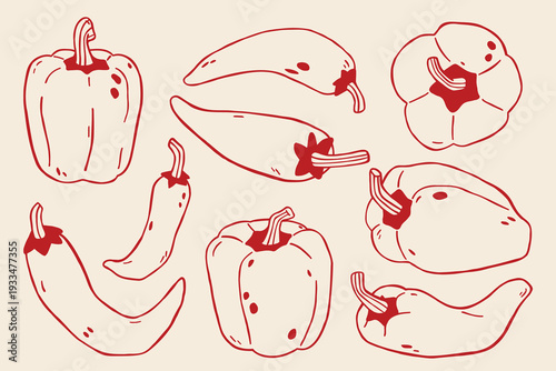 Hand drawn red bell pepper line art set in organic Mediterranean style. Minimal capsicum collection with whole and sliced vegetables isolated on warm beige background. Vector food illustration.