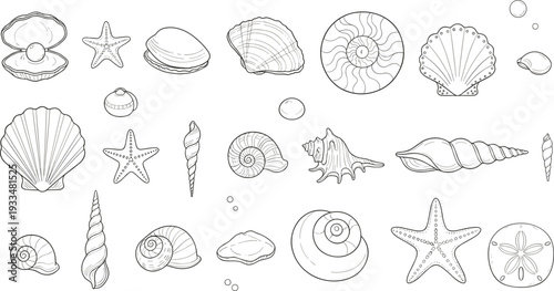 Hand-drawn black and white vector illustration set of detailed seashells, starfish, pearls, and coastal marine life icons