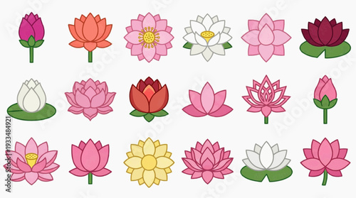 Various water lilies flowers in different shapes and colors