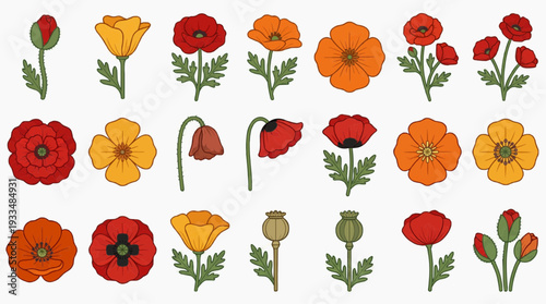 A vibrant assortment of colorful poppy flowers in full bloom, a symbol of beauty and resilience