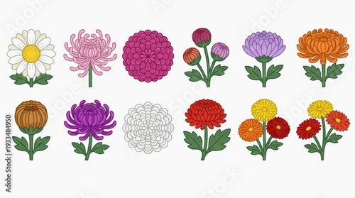 An array of various vividly colorful flowers with diverse shapes and sizes displayed against a plain background. Each flower exhibits different petals and vibrant colors