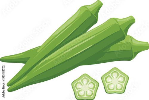 Fresh green okra vector illustration featuring whole ladyfinger vegetables and sliced cross sections isolated on a white background for culinary and food design.