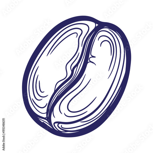 Navy blue of a cut open cashew nut white background