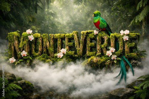 Mossy Wood 3D Text Monteverde in Thick Cloud Forest Mist with Quetzal
