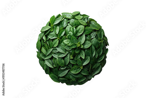 Green leaves forming a sphere on transparent background, representing ecology, growth, and nature's vitality