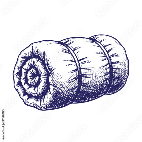 A rolled up sleeping bag with straps isolated on white background