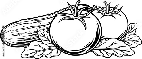 Fresh garden vegetables illustration tomato cucumber
