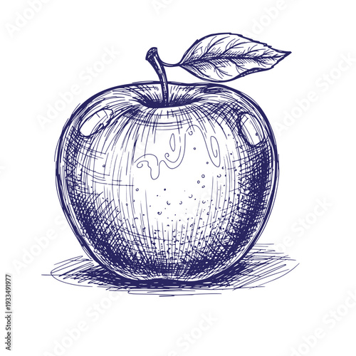 Blue of an apple with a leaf fruit stem