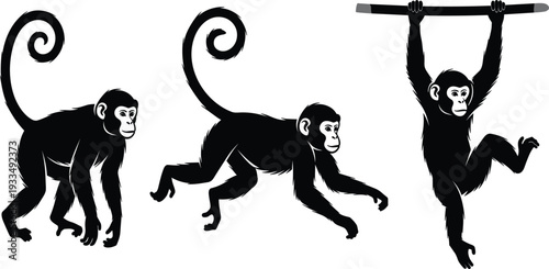 Black Monkey and Chimpanzee Silhouette Vector Set Featuring Primates Standing Walking and Hanging for Wildlife Conservation Zoo Education and Jungle Theme Designs