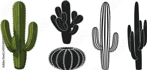 Cactus Plant Illustration Set with Green Desert Cacti and Black Silhouette Variations for Botanical Design Logo Sticker and Nature Vector Collection