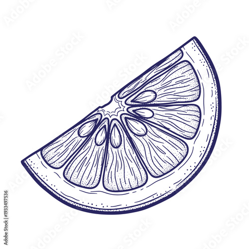 A blue line drawing of a slice of citrus fruit with seeds and pulp on a plain background transparent background