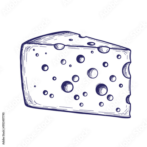 A drawing of a wedge of cheese with holes in it on a white background  cheese types  dairy products
