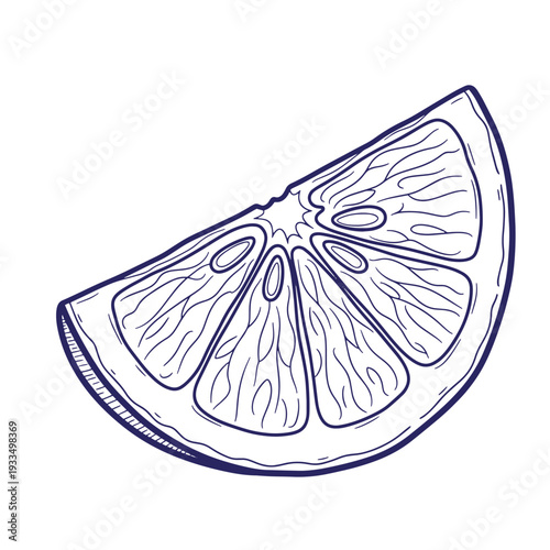 A slice of citrus fruit with lines and texture  a drawing of a wedge of lemon or orange transparent background