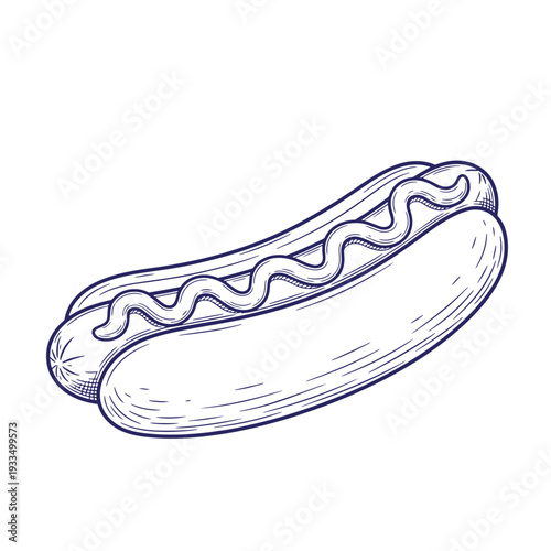 Illustration of a hot dog with wavy ketchup or mustard on top in a bun  a classic American food