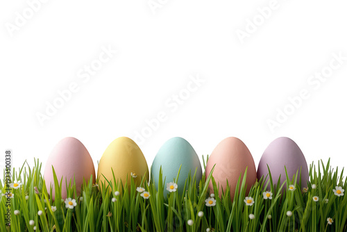 Pastel easter eggs in fresh spring grass with small white flowers, creating a festive holiday border element on transparent background