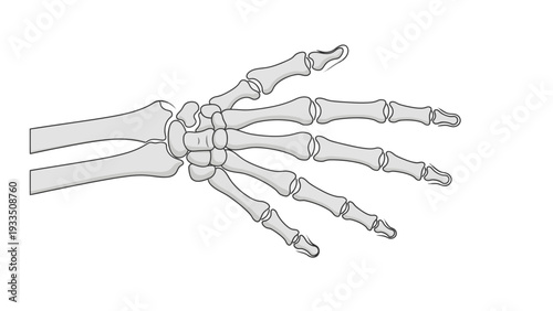 Detailed line drawing of a human hand skeleton on a white background with a minimalist style.