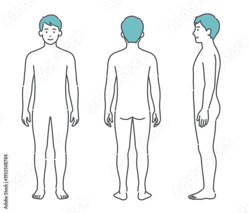 男性の人体図・全身モデルのイラストセット（正面・背面・側面）