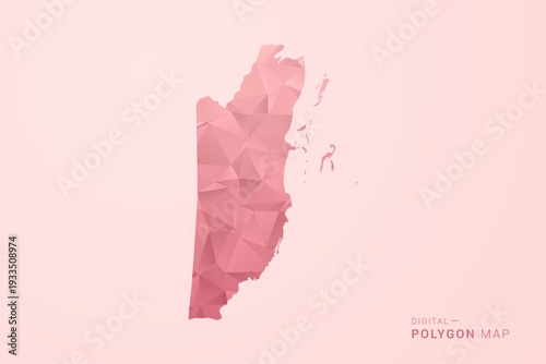 Belize Map - Polygon Style Vector Illustration in Soft Pink Valentine Theme, Low Poly Geometric Design, Isolated on Pastel Background.