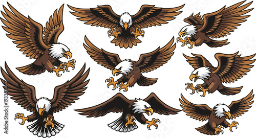 Bald Eagle Set with Flying and Attacking Poses Detailed Bird of Prey Wildlife Vector Illustration Collection