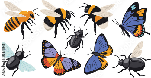 Bee Butterfly and Beetle Insect Set with Colorful Wings and Detailed Nature Wildlife Vector Illustration Collection