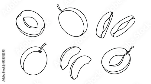 Plums in various states outline vector set. whole and sliced plum fruits collection