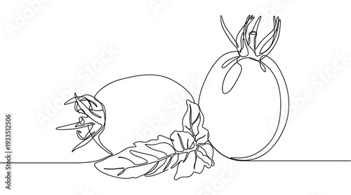 Continuous one line drawing of rosehip berries and leaves fresh forest fruits