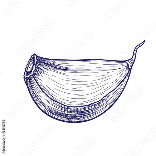 A detailed drawing of a banana with a long tail on a white background  no brands or people