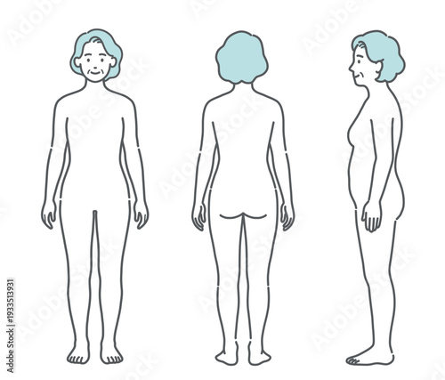 シニア女性（高齢者）の人体図・全身モデルのイラストセット（正面・背面・側面）