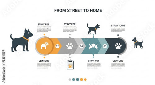 Stray dog adoption infographic from street to home care steps