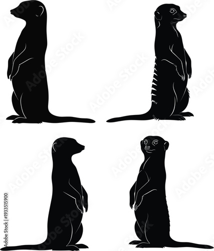Vector set of meerkat silhouettes in various standing and alert poses isolated on a white background