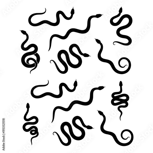 Snake Silhouette Collection - Different Poses and Species