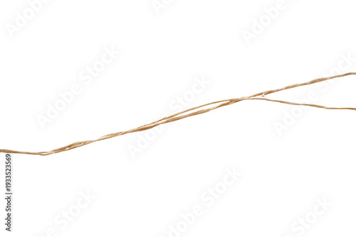 Dried jungle liana against transparent background, brown tropical vine with natural textures and organic curves