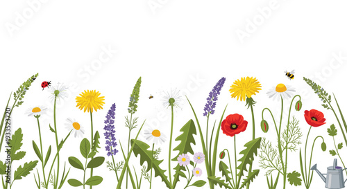 A vibrant horizontal border of diverse wild flowers, grasses, and insects, including a watering can, is depicted on a white background.
