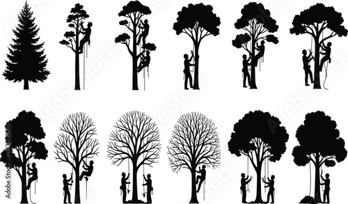 Black silhouettes of arborists and tree climbers using ropes and saws to prune maintain and cut various types of tall trees