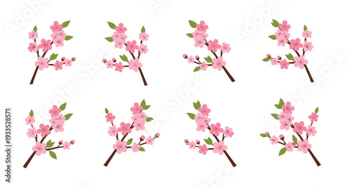 Eight identical illustrations of delicate pink cherry blossom branches, each adorned with flowers and green leaves, are symmetrically arranged in a grid on a white background.