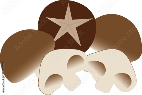High-quality vector illustration of shiitake mushrooms, perfect for food packaging, restaurant menus, and organic product branding.