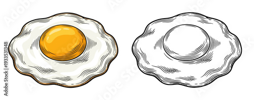 Side-by-side cartoon comparison of two fried eggs highlighting bright yellow and white yolks on a plain white backdrop