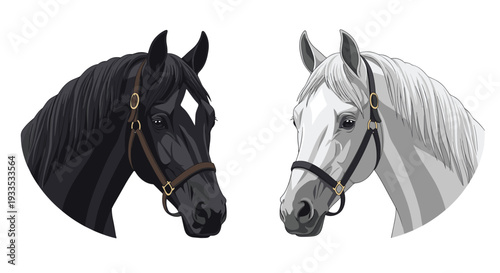 Two detailed horse heads, one black and one white, face forward with bridles against a clean white background in a symmetrical composition.