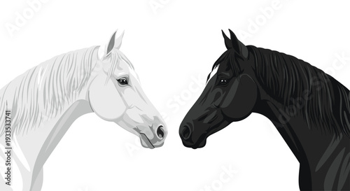 Two elegant horse heads, one white and one black, are depicted in profile facing each other against a pristine white background.