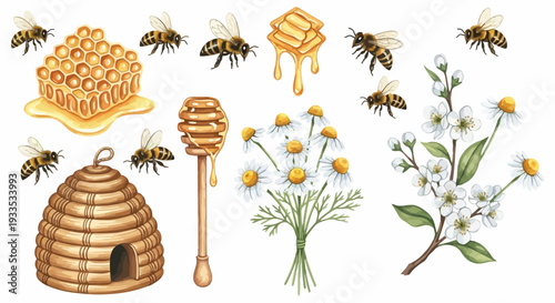 Watercolor bee hive honeycomb bees honey dipper and flowers isolated