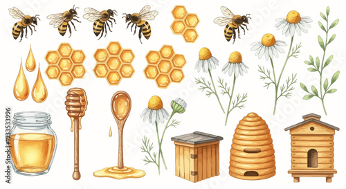 Watercolor bee hive illustration featuring bees honey and flowers on a white background