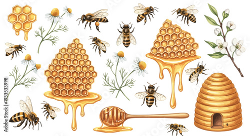 Watercolor bee hive honeycombs bees flowers elements design