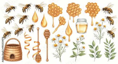 Watercolor bee illustration set with honeycombs flowers and honey drops