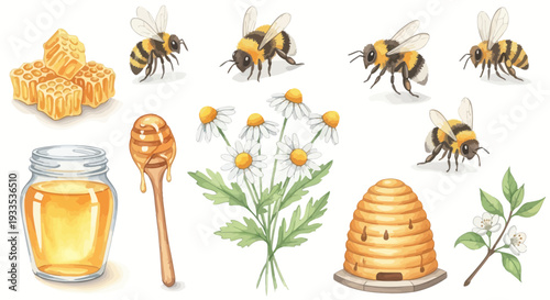 Watercolor illustration of bees honeycomb honey and chamomile flowers