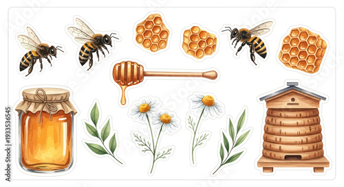 Watercolor illustration of bees beehive honey dipper honeycomb flowers