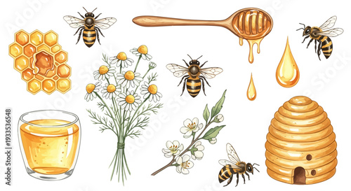 Watercolor illustration of bees honey and floral elements on white background