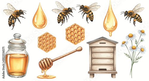 Watercolor illustration of bees honey and related elements on white